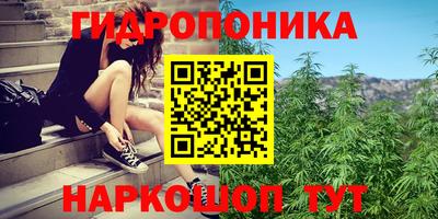 шишки Краснокаменск