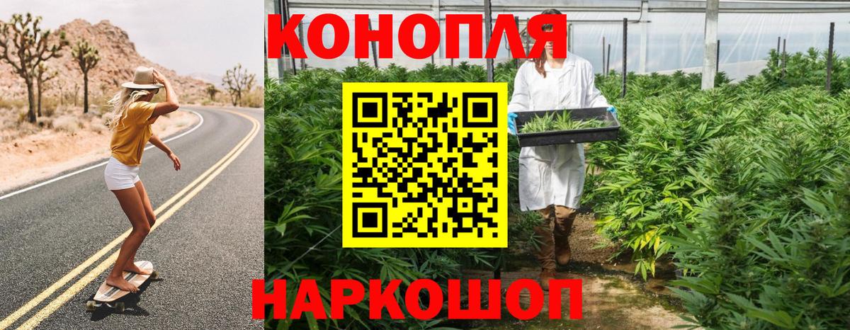 Канабис планчик Электрогорск
